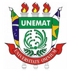Icone do Instituto