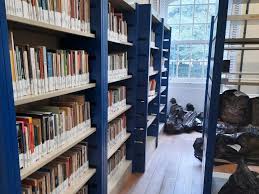 Biblioteca universitária com prateleiras de livros e luz natural