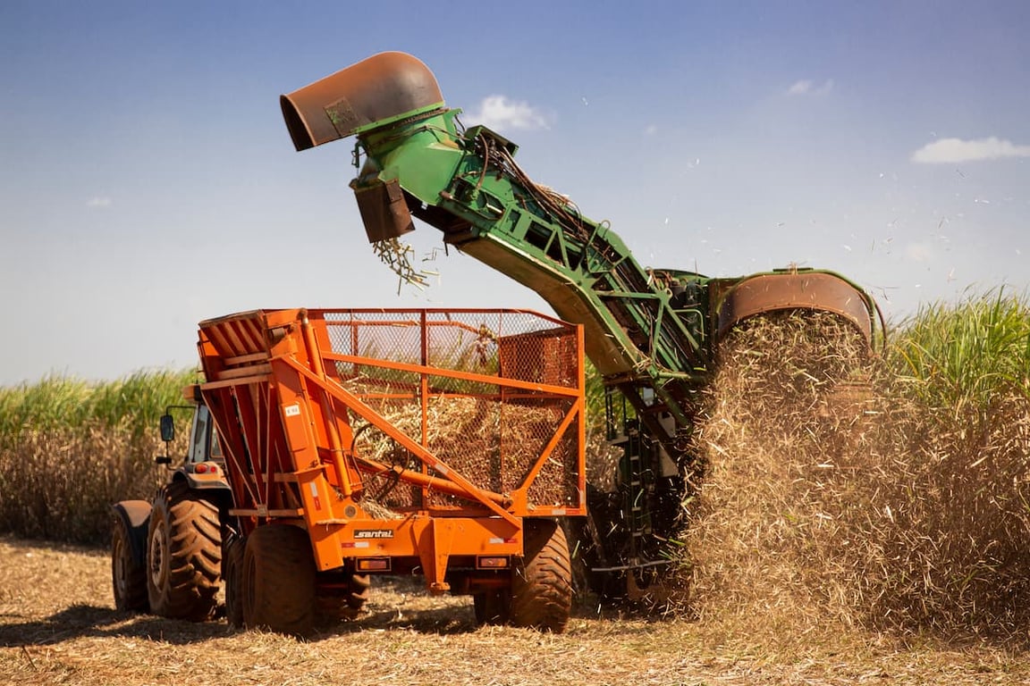 Colheita mecanizada de cana-de-açúcar no noroeste paulista