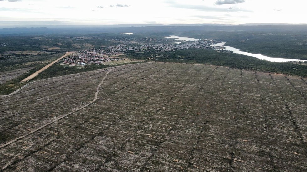 Paisagem urbana de Morrinhos e entorno do Cerrado