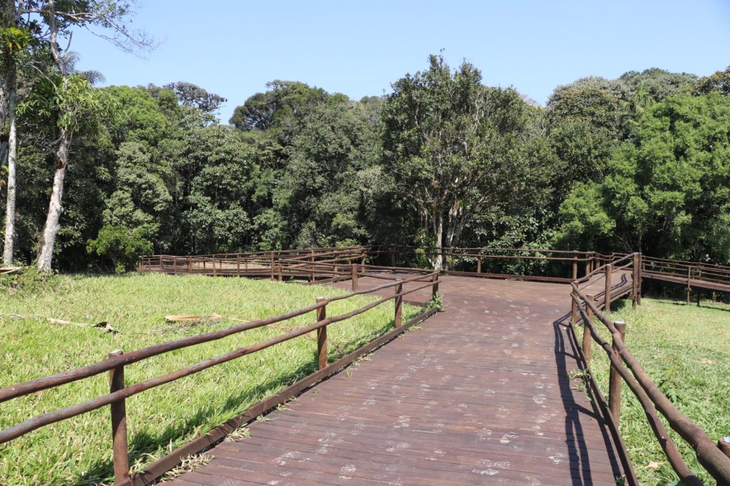 Parque Estadual Carlos Botelho, na região de São Miguel Arcanjo