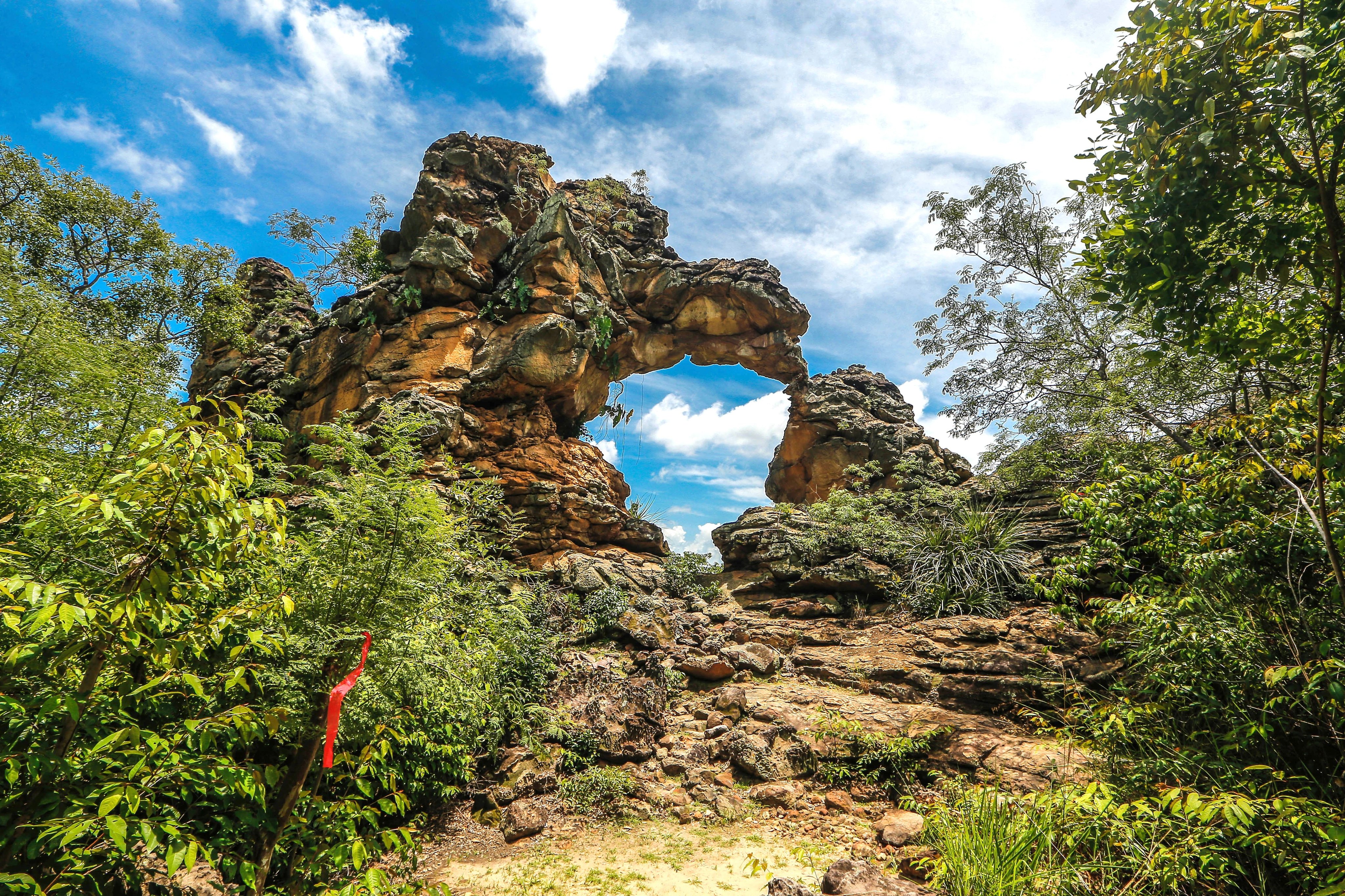 Paisagem e vegetação típica no Parque Nacional de Sete Cidades, Piauí