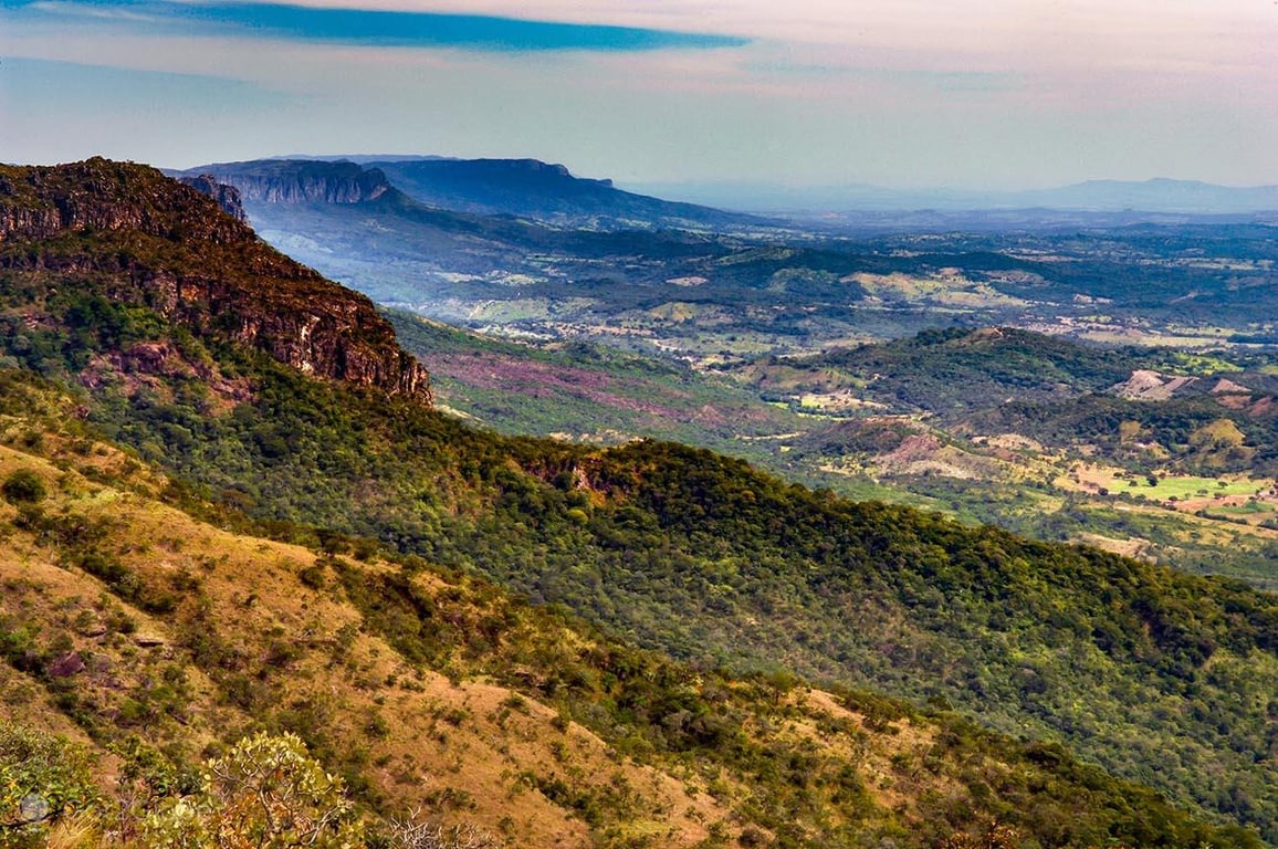 Cerrado brasileiro ao entardecer: gramíneas douradas e árvores esparsas com morros ao fundo