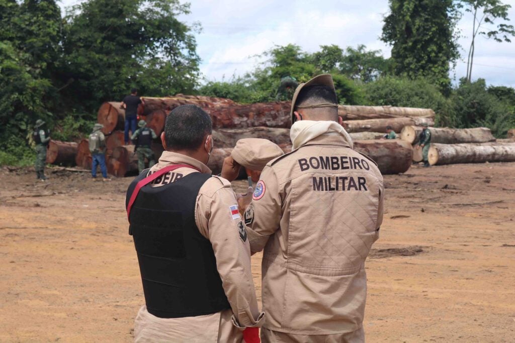 Ação de brigadistas em ambiente florestal