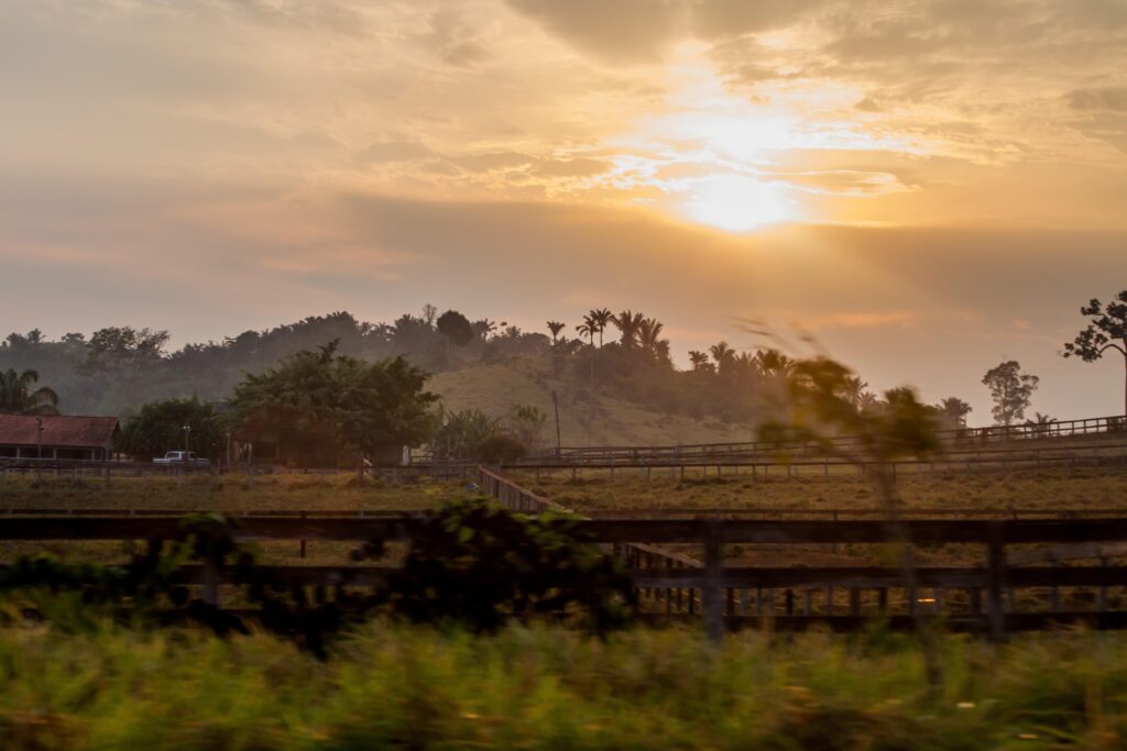 Paisagem rural de Rondônia ao entardecer