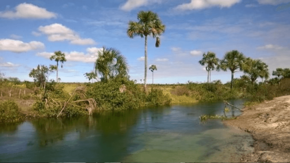 Rio Corrente, paisagem do Cerrado no Oeste da Bahia