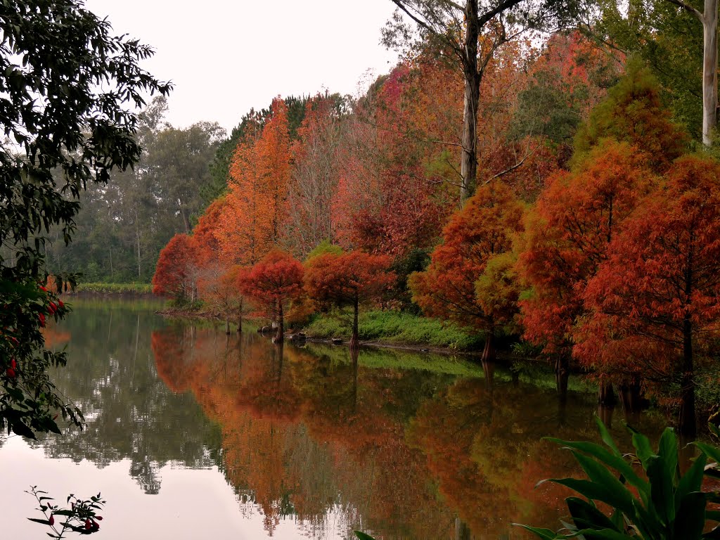 Paisagem do interior do Rio Grande do Sul, com campos e lago ao pôr do sol
