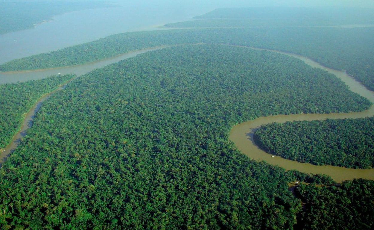 Vista aérea de floresta amazônica no Maranhão