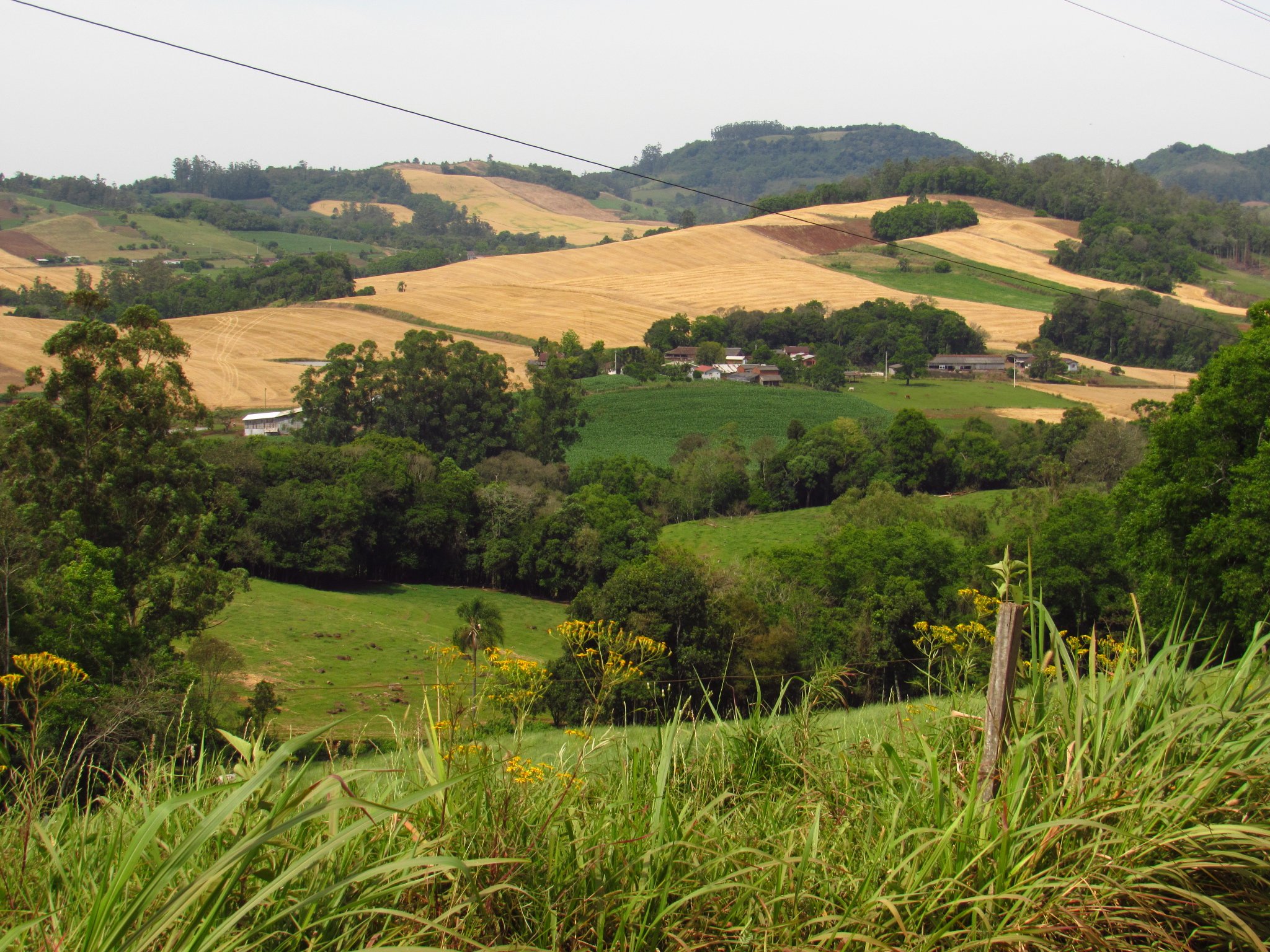 Paisagem rural na região Centro-Serra do RS, com morros verdes ao fundo, céu aberto e estrada vicinal