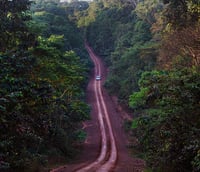 Rodovia Transamazônica na região de Novo Repartimento PA, destacando contexto amazônico.