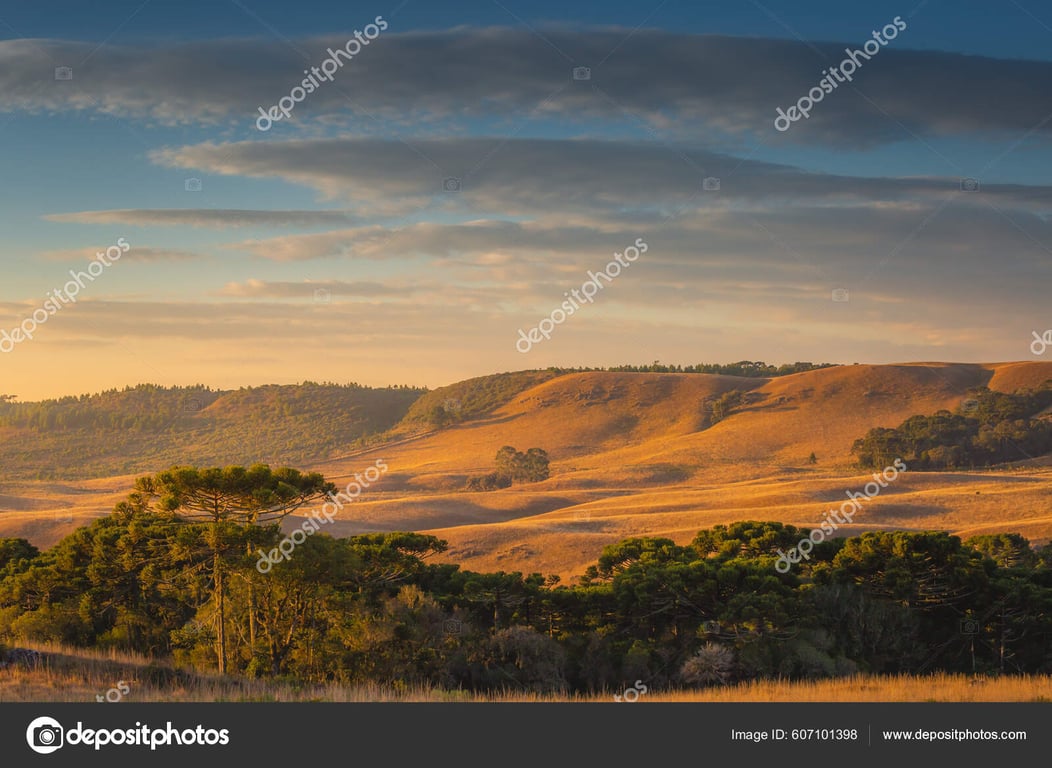 Campos e coxilhas do interior gaúcho ao entardecer