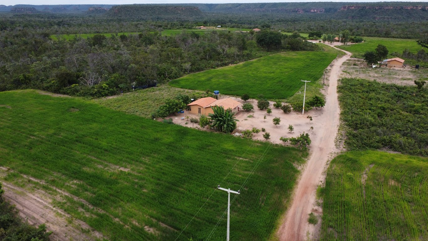 Estrada rural com vegetação de cerrado sob céu aberto; clima de viagem pelo interior de Mato Grosso
