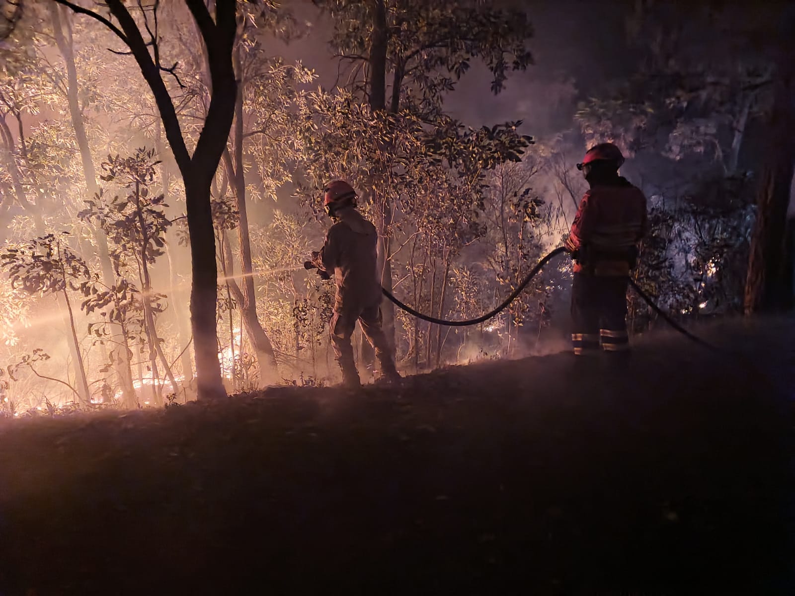 Brigadistas combatendo fogo em vegetação tipo savana/área úmida, com bombas costais e ferramentas manuais