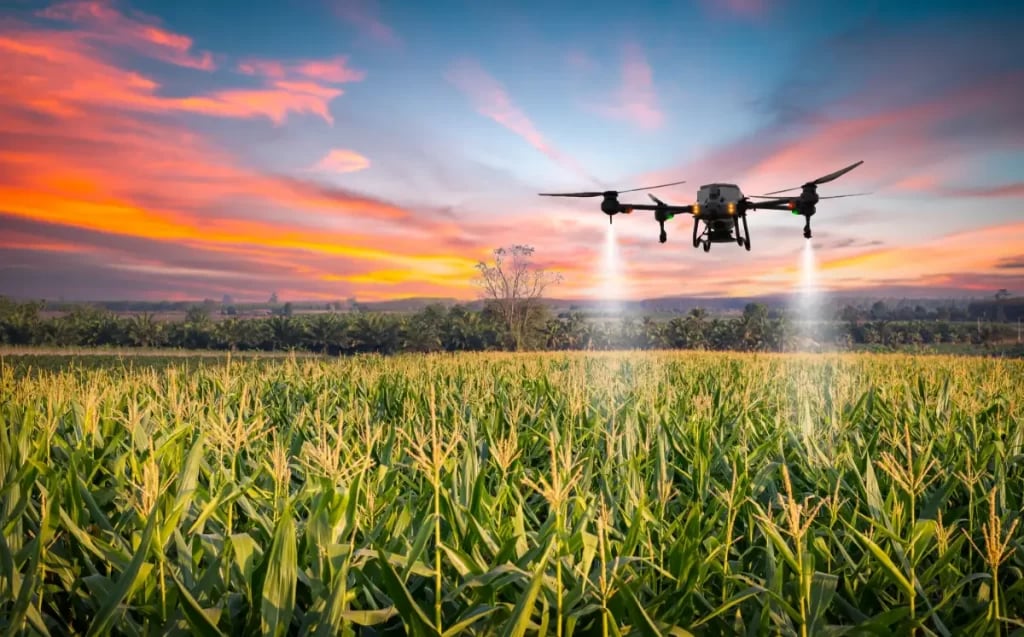Drone de agricultura de precisão sobre lavoura ao entardecer