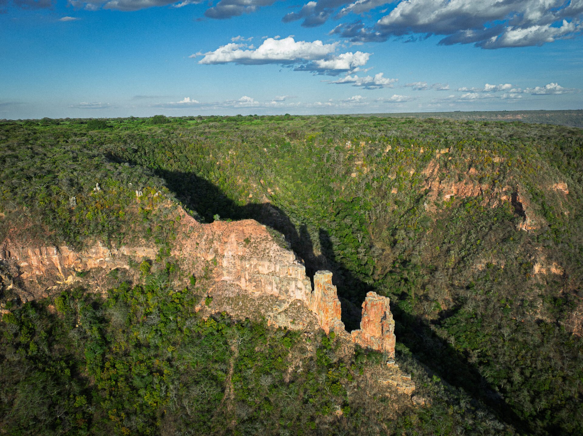 Paisagem da Chapada do Araripe, referência natural do Cariri, região onde fica Nova Olinda