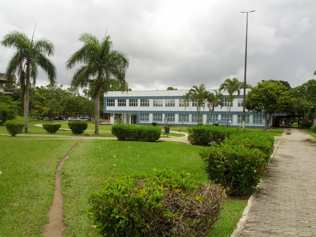 É uma imagem do post com o título Concurso Universidade Federal do Espírito Santo UFES abre 41 vagas para professor