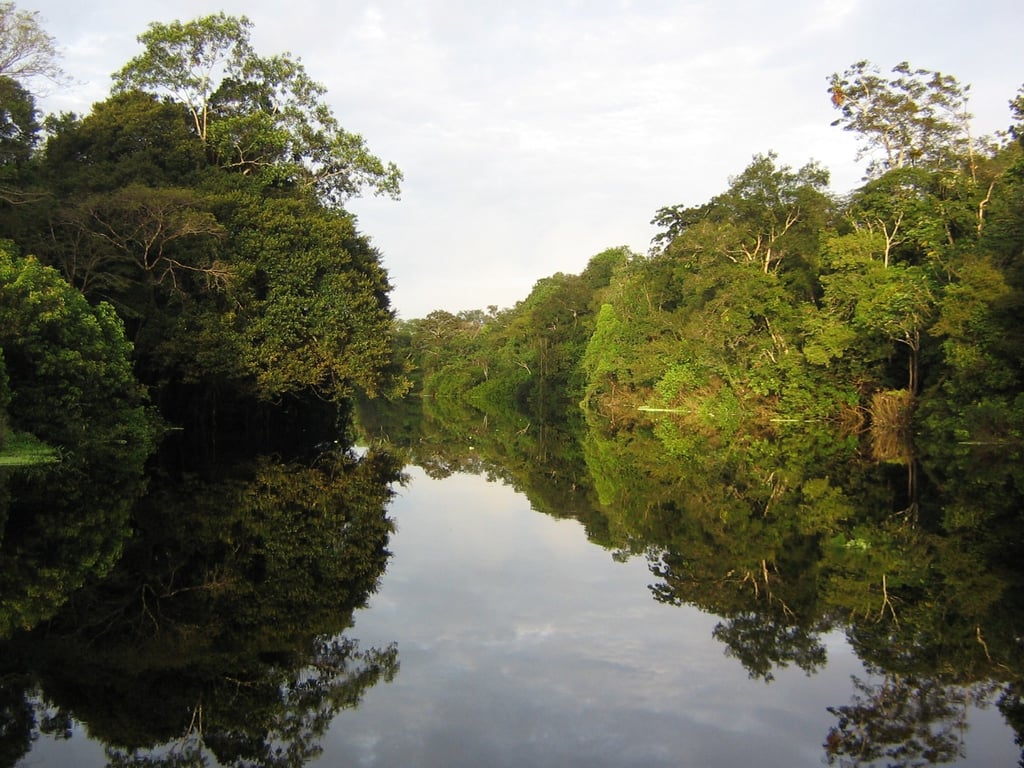 Paisagem natural amazônica com rio e vegetação nativa, ilustrando a atuação de agentes ambientais do ICMBio em campo