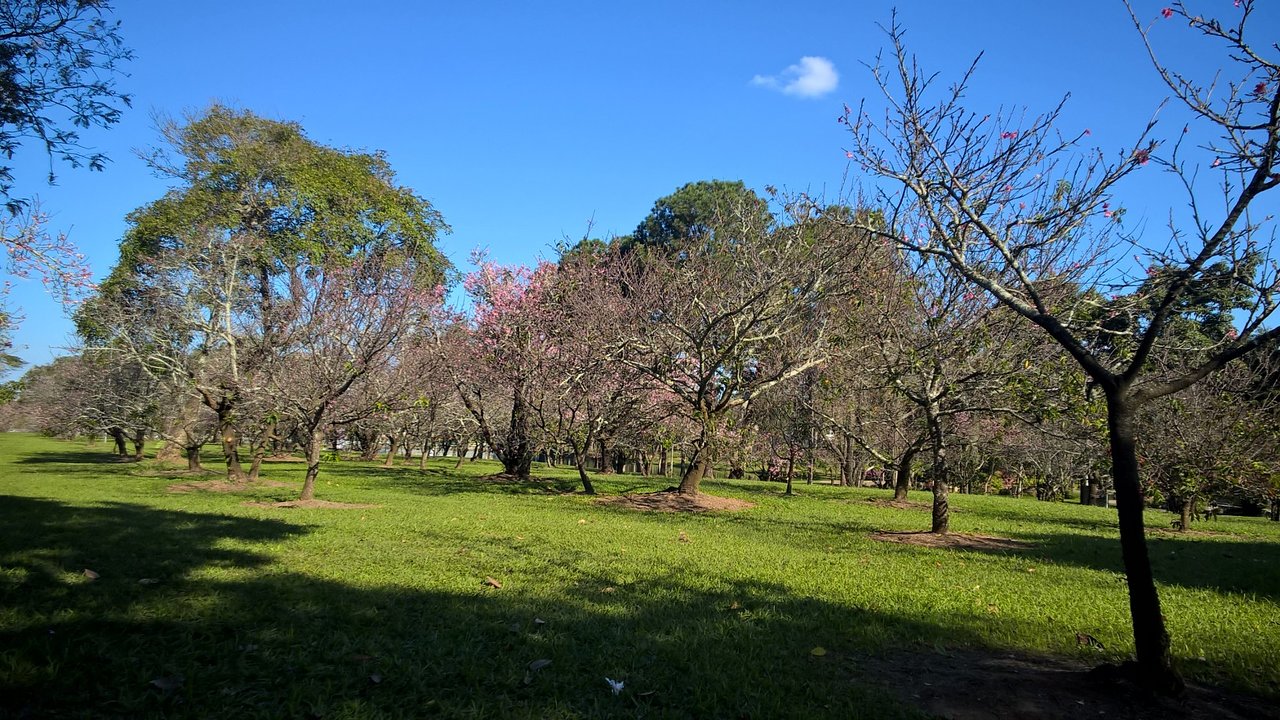 Lago Artificial Prof. J.K. Williams em Garça SP