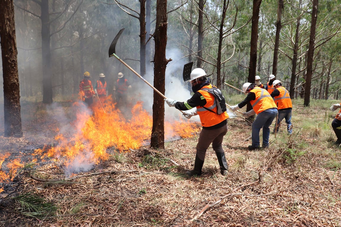 Brigadistas florestais em ação durante combate a incêndio em área de mata
