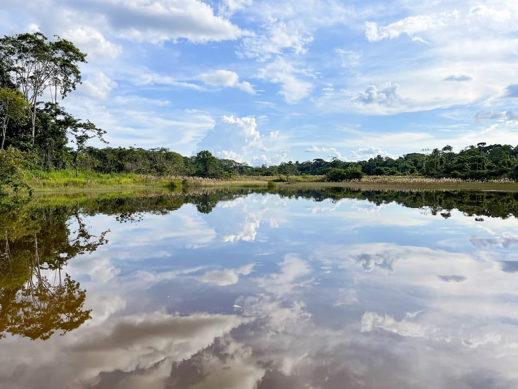 Vista aérea do rio Juruá ao entardecer, com floresta amazônica ao fundo