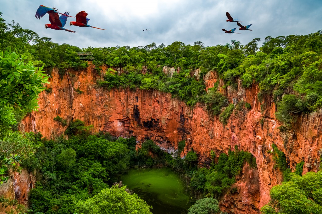 Vista panorâmica do cânion Buraco das Araras, com vegetação exuberante e tucanos sobrevoando a área.