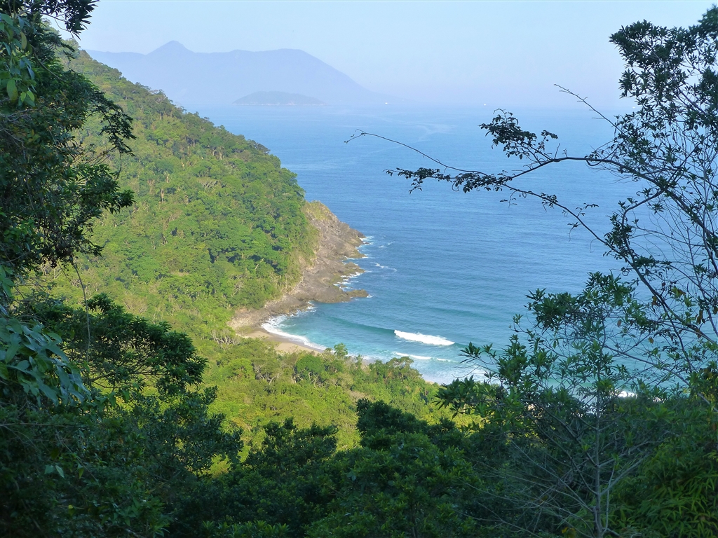 Trilha em fragmento de Mata Atlântica no litoral norte paraibano