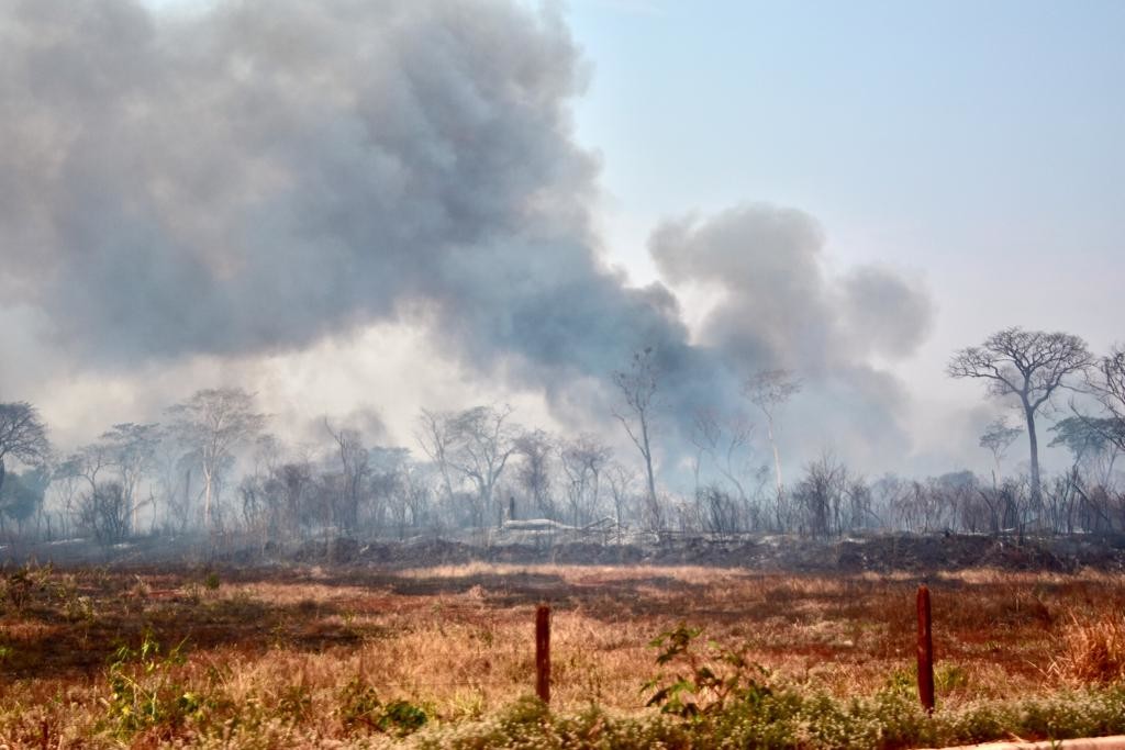 Operação de queima controlada no Cerrado, com fumaça e área monitorada por equipe