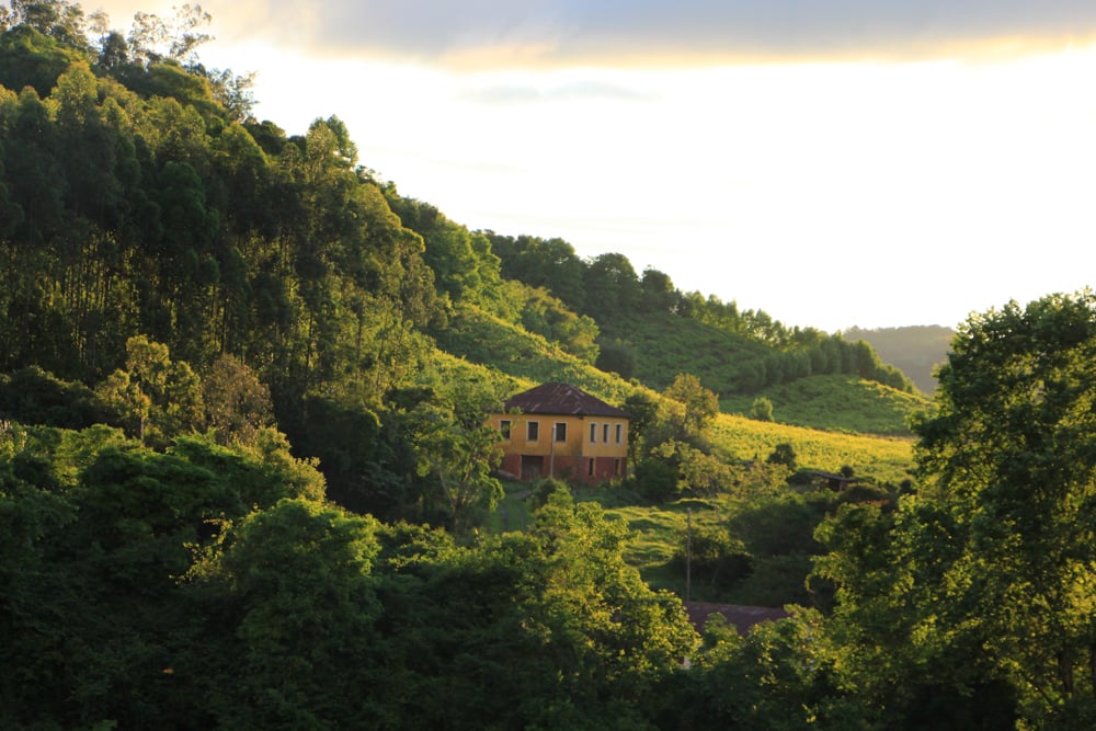 Paisagem da Serra Gaúcha ao entardecer, com colinas e vegetação abundante.