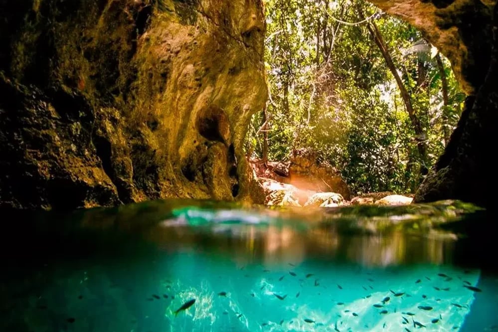 Parque PETAR, ícone do Vale do Ribeira, em Apiaí (SP)
