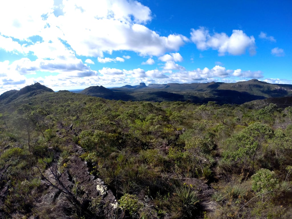 Cerrado goiano ao entardecer, com buritis e horizonte amplo