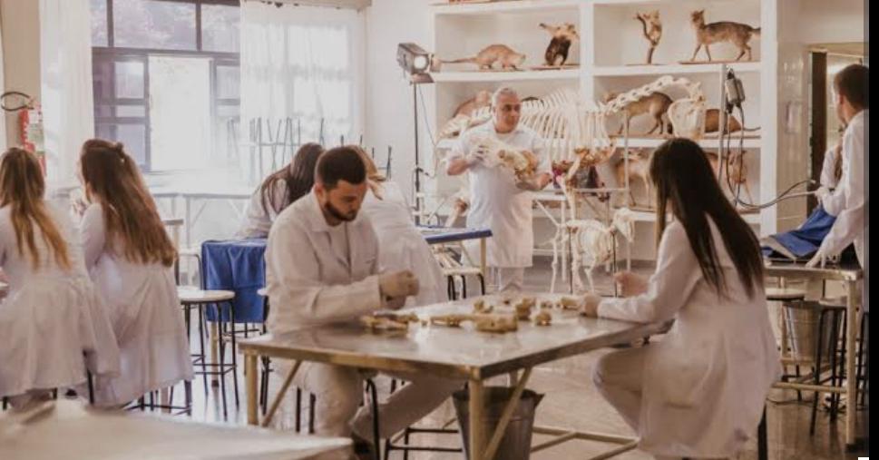 Laboratório de Medicina Veterinária com aula prática