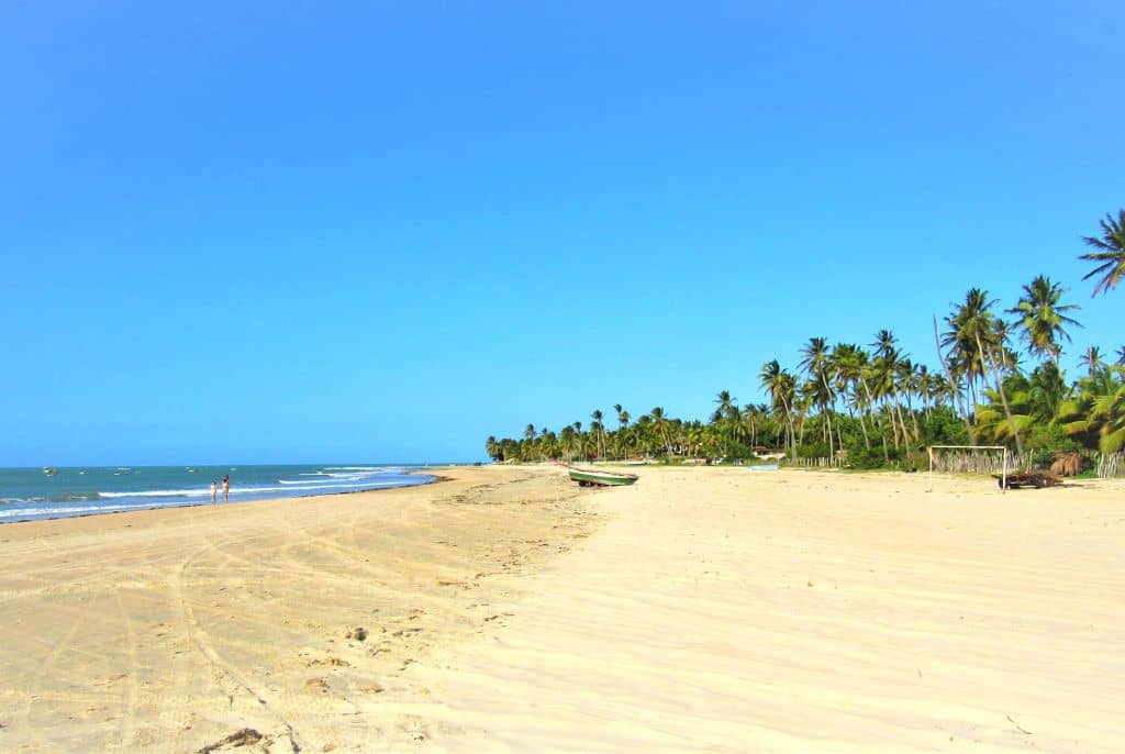Vista do litoral oeste do Ceará, com mar azul, faixa de areia e coqueiros ao fundo