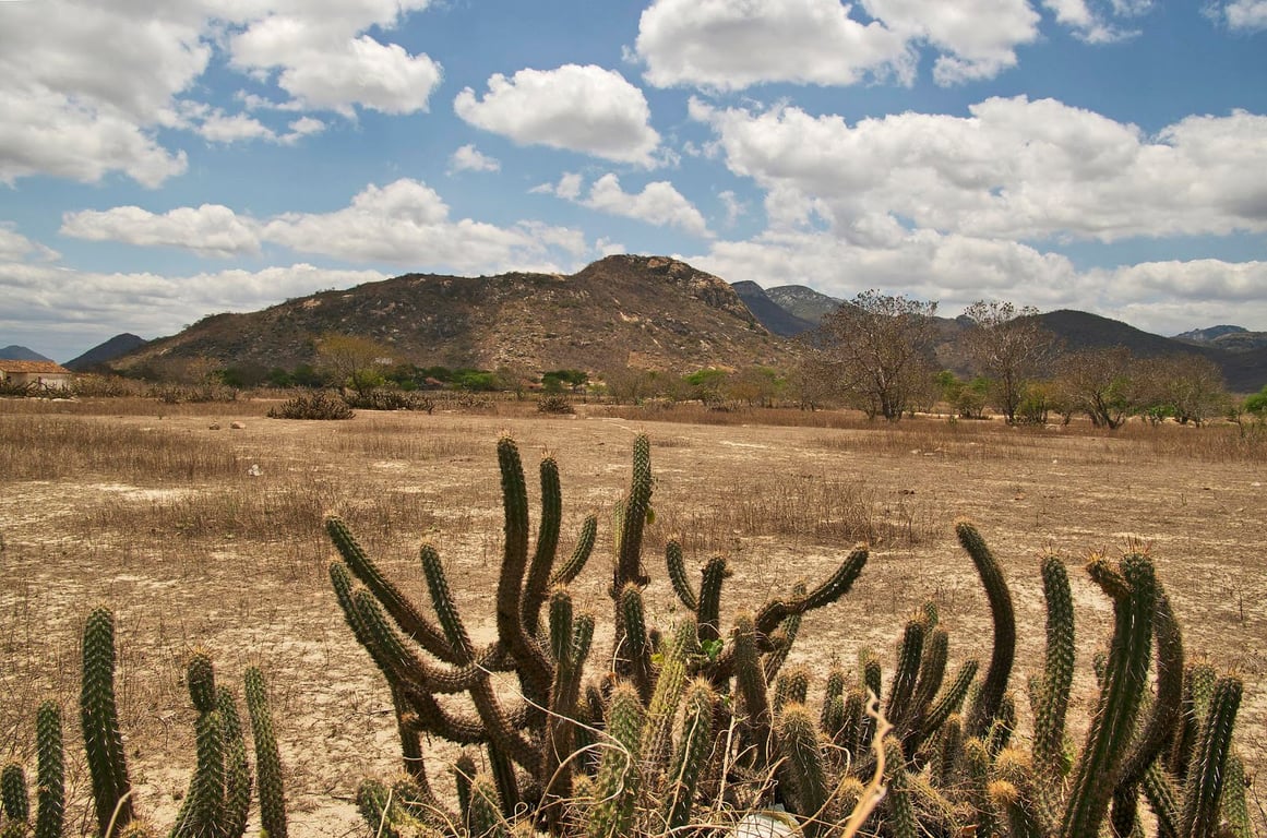 Paisagem do Sertão do Araripe em Pernambuco, com caatinga e serras ao fundo sob um céu azul.