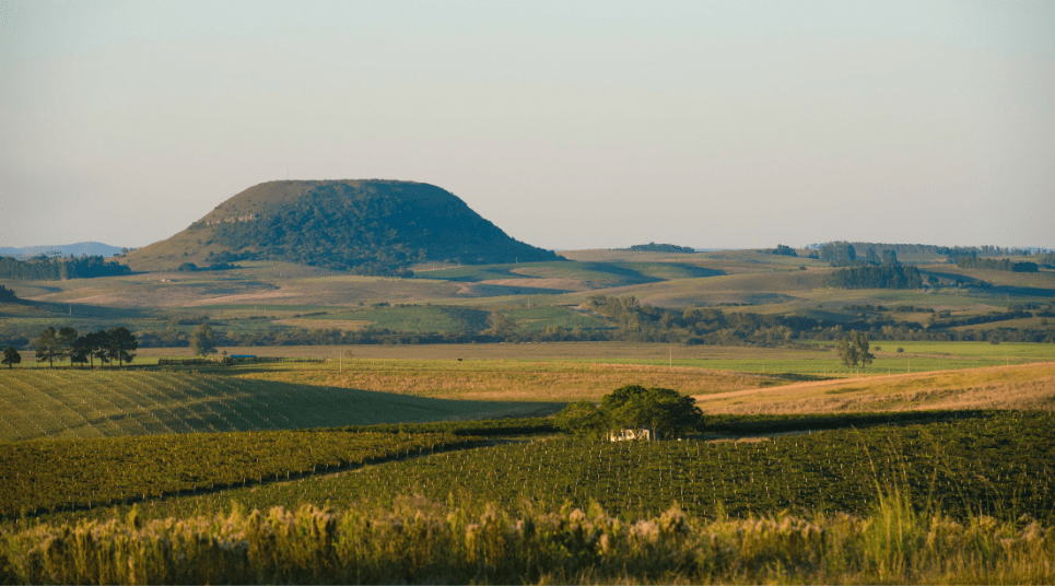 Campos e coxilhas ao entardecer, estrada rural sinuosa e céu amplo — paisagem típica do interior gaúcho