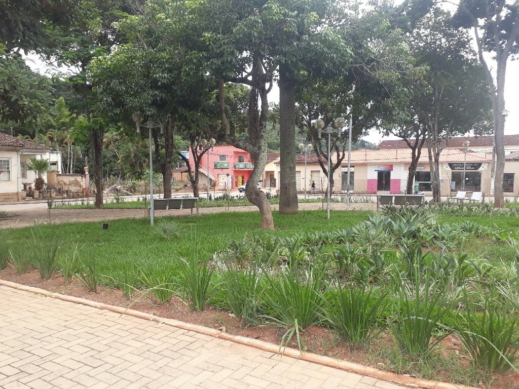 Área urbana de São João Evangelista com vegetação e prédios ao fundo