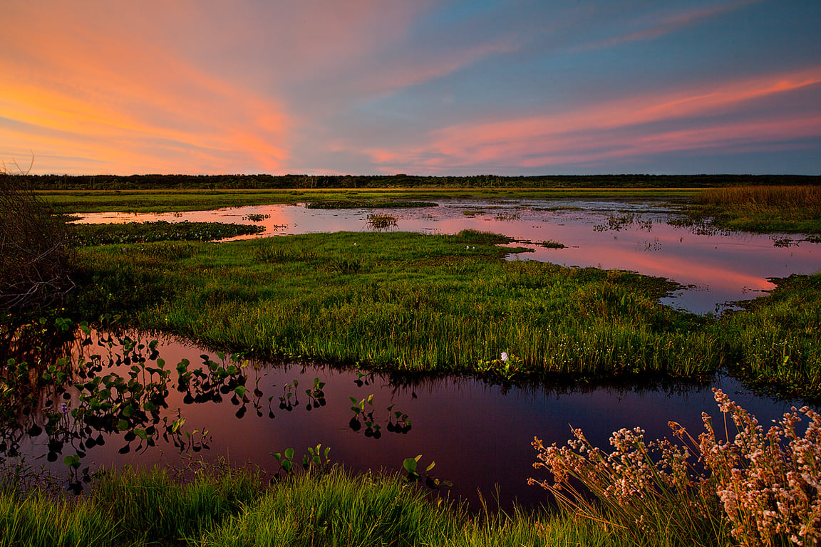 Parque Nacional da Lagoa do Peixe ao entardecer, no Litoral Sul do RS