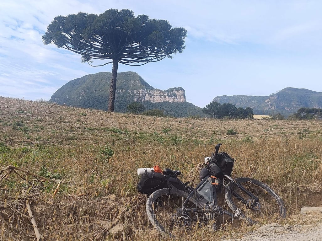 Paisagem serrana de Rancho Queimado SC, com araucária e montanhas da Serra do Tabuleiro ao fundo, em dia claro.