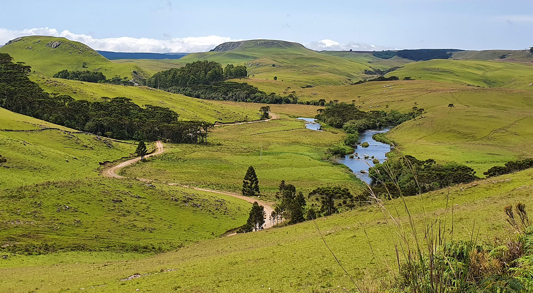 Campos de Cima da Serra, paisagem típica de Bom Jesus RS