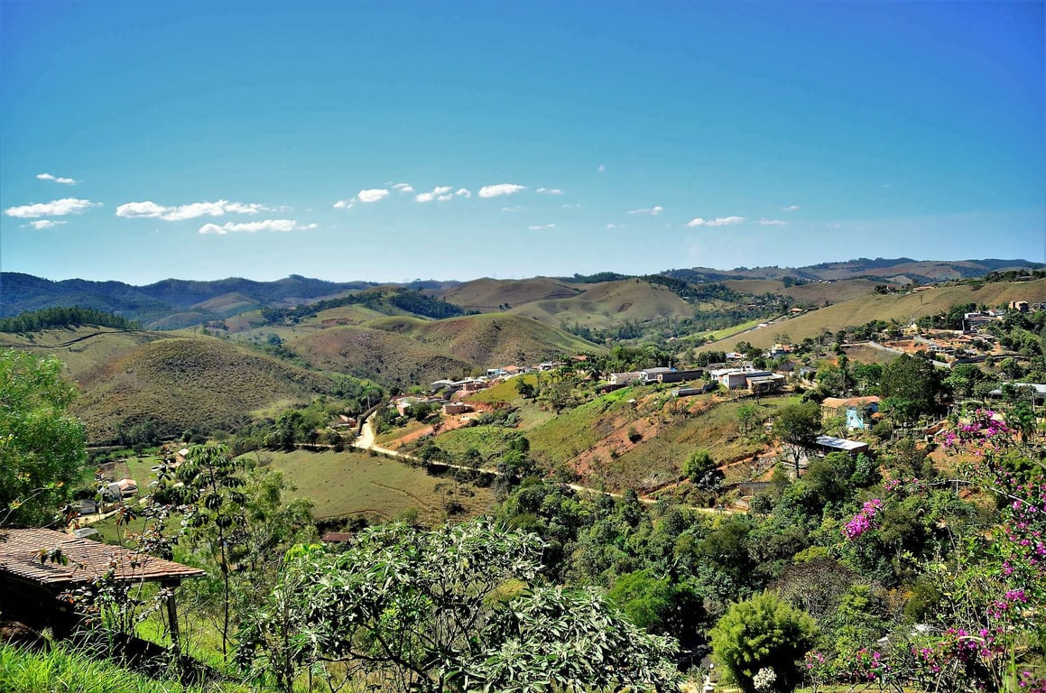 Campos de cana-de-açúcar ao pôr do sol, interior de São Paulo