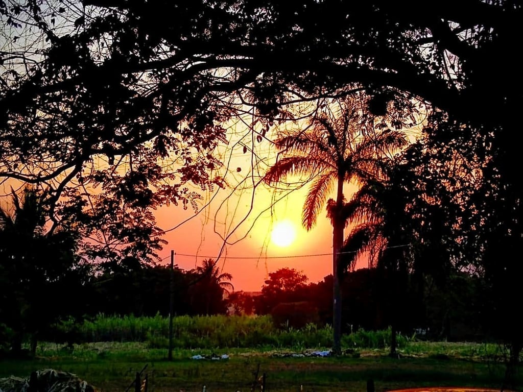 Paisagem rural ao pôr do sol na região de Franca, interior de São Paulo