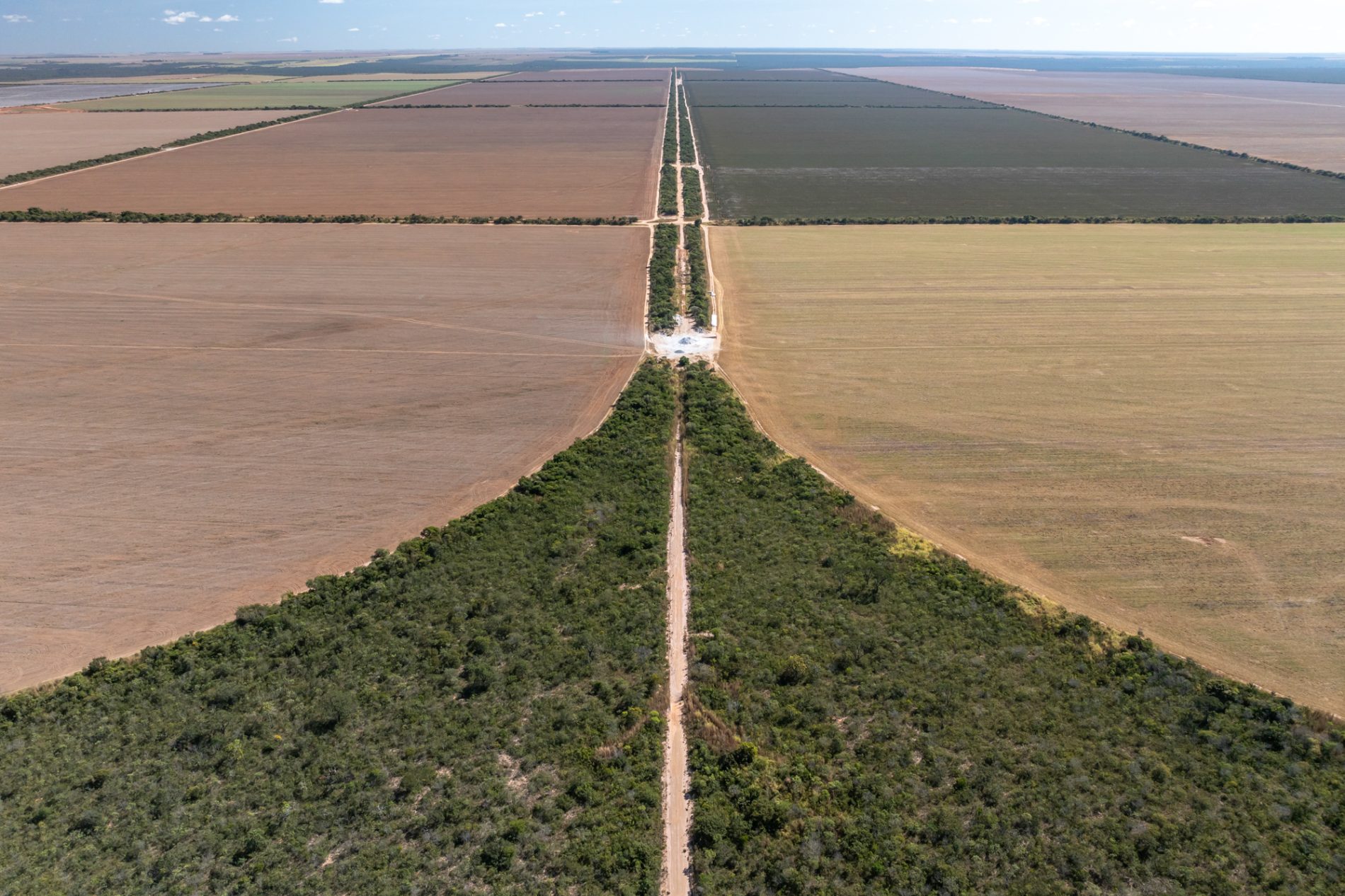 Vista aérea da caatinga com estrada de terra no nordeste baiano