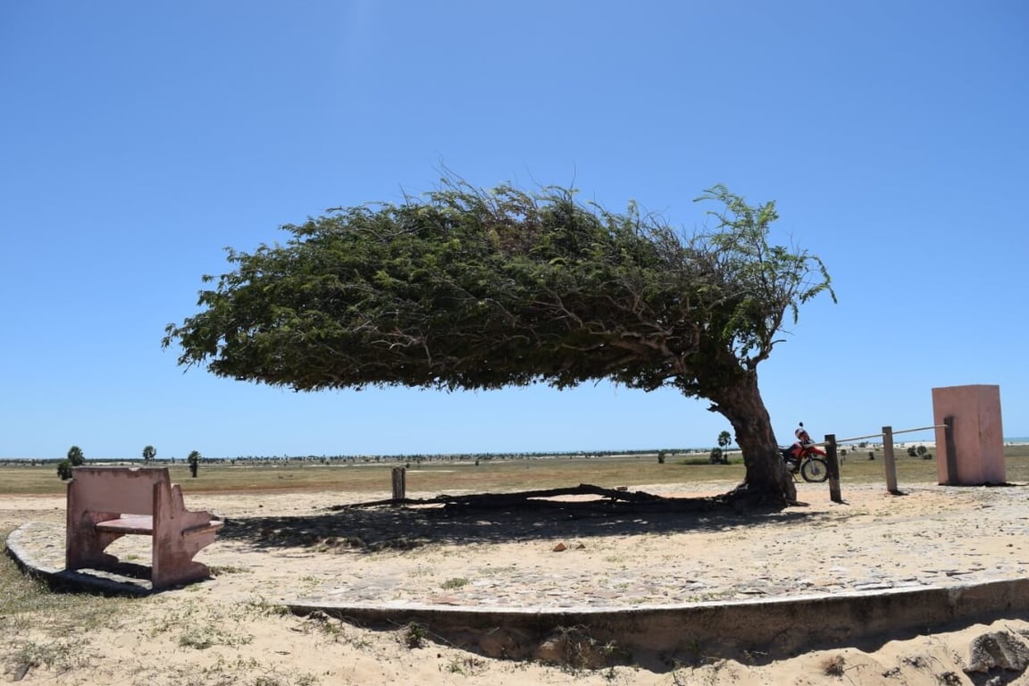 Paisagem do semiárido nordestino, representando o contexto regional de Pio IX PI