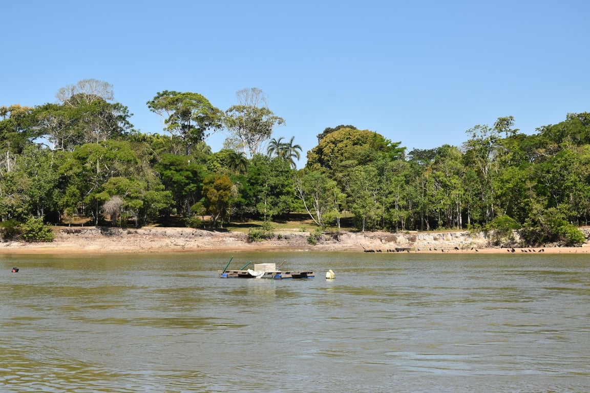 Vista aérea de área natural na região amazônica