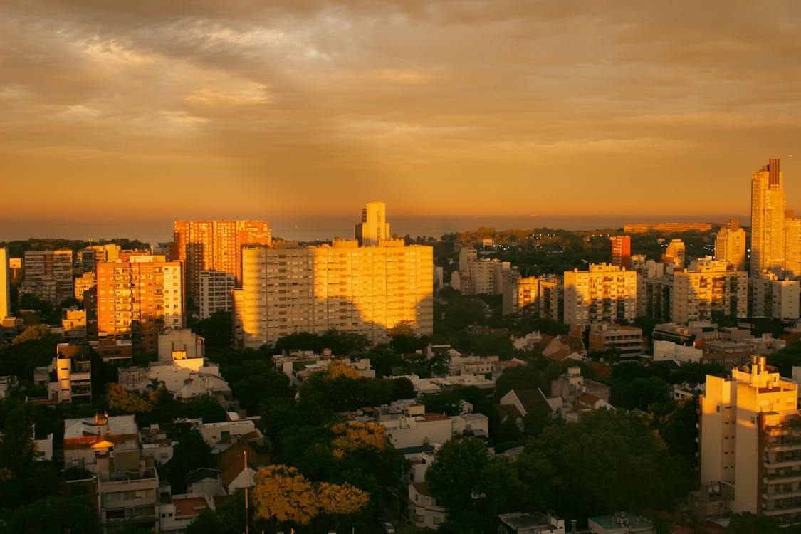 Skyline de São Paulo ao entardecer, com edifícios modernos e luz dourada