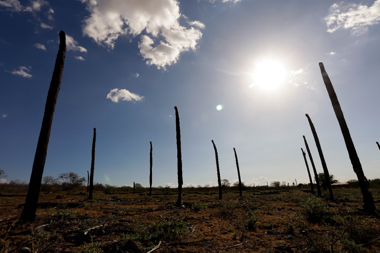 Cenário do sertão cearense, em composição horizontal, contextualizando a localização de Mombaça CE