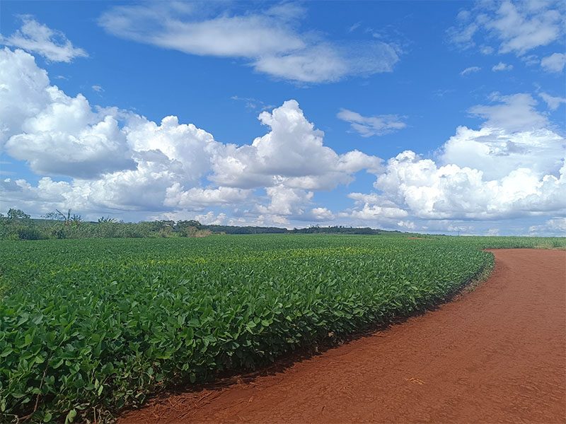 Paisagem rural no norte de Mato Grosso, com lavouras e céu amplo