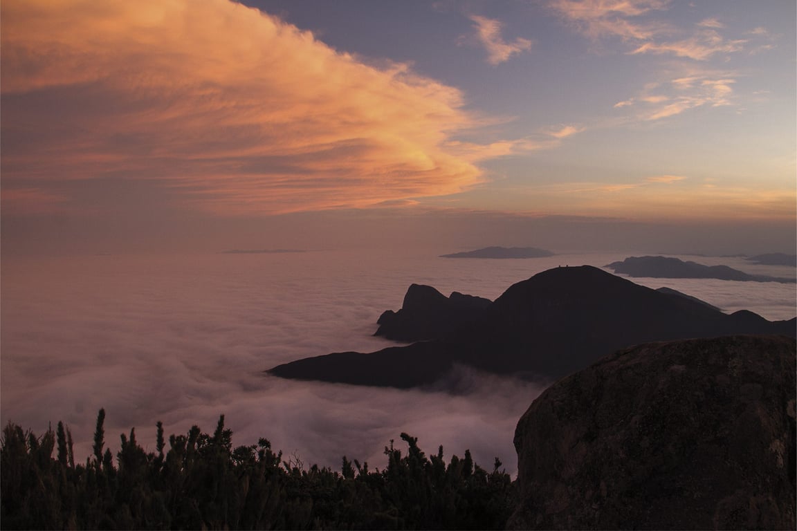 Mata Atlântica ao amanhecer na região da Rebio Pedra Talhada, Quebrangulo AL