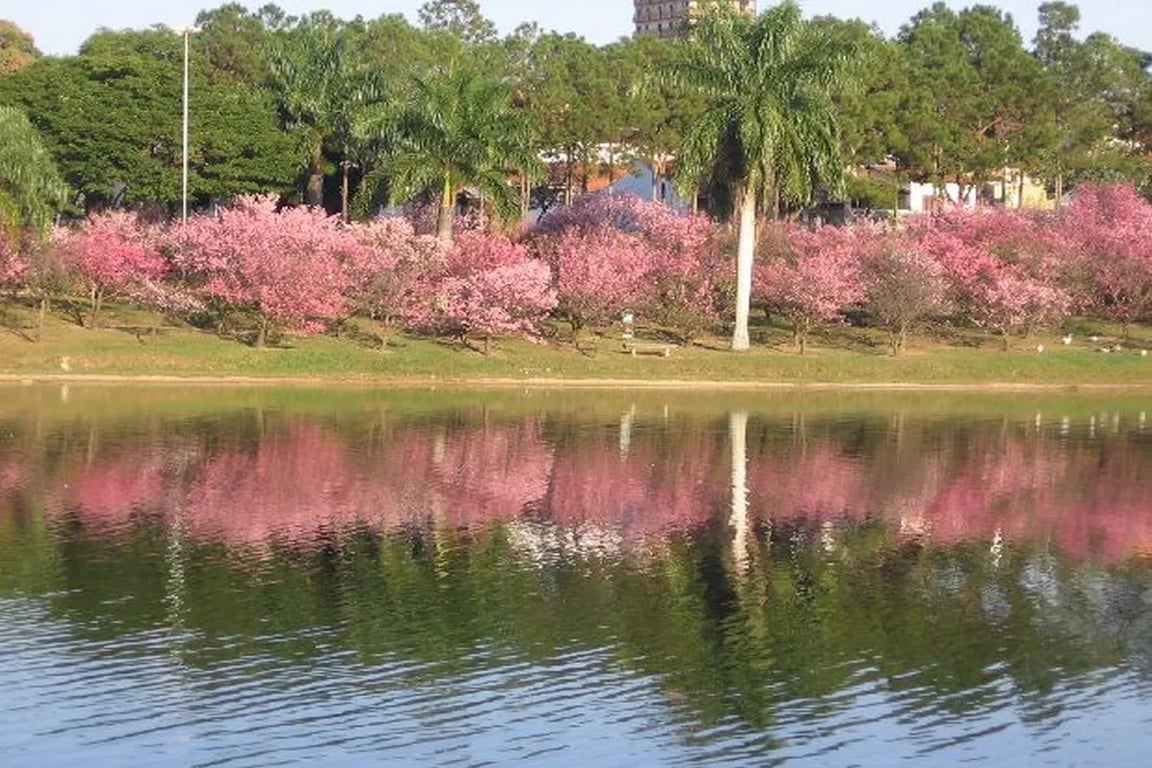 Paisagem urbana de Garça, com lago artificial e áreas verdes