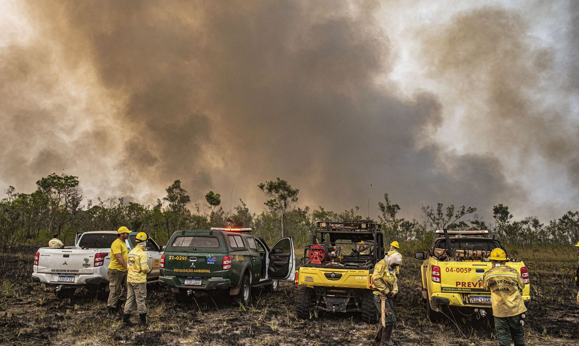 Brigadistas florestais combatem incêndio em área de floresta tropical, com abafadores e sopradores, ao entardecer.