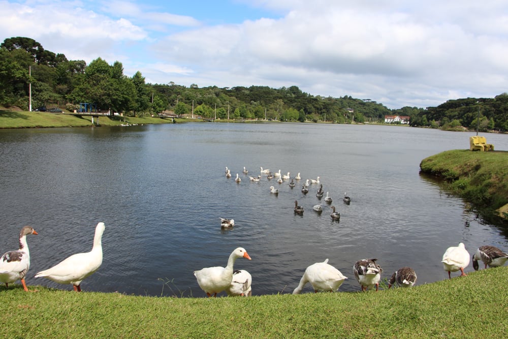 Lago São Bernardo em São Francisco de Paula RS